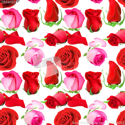 Image of Seamless pattern of roses flowers