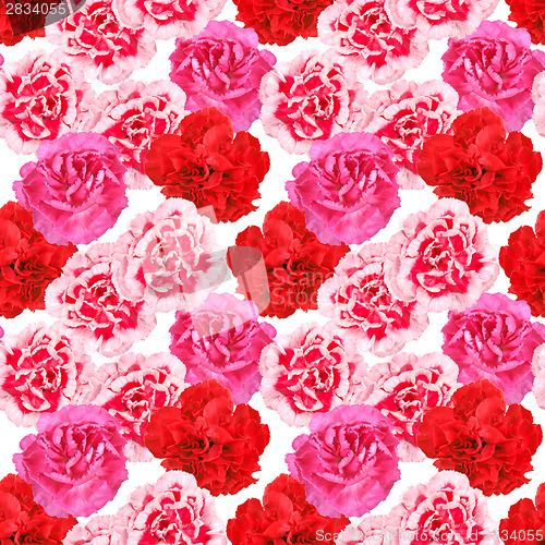 Image of Seamless pattern of carnations flowers