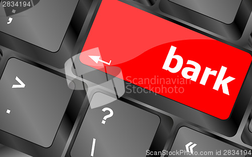 Image of bark word on keyboard key, notebook computer