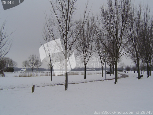 Image of Holland in Winter 4