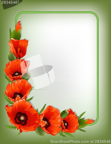 Image of Red poppies floral frame, vector