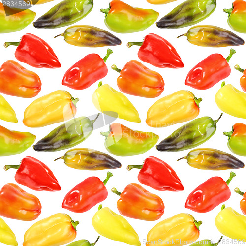 Image of Seamless pattern of multicolored peppers