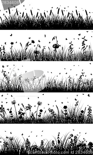 Image of meadow background