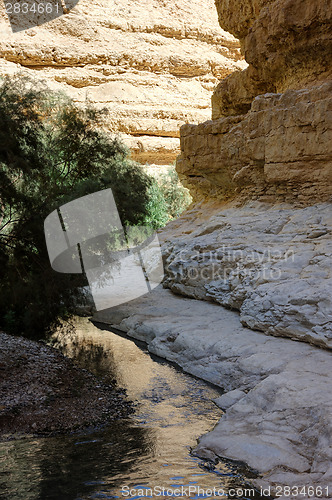 Image of Mountains and water in the Ein Gedi nature reserve 