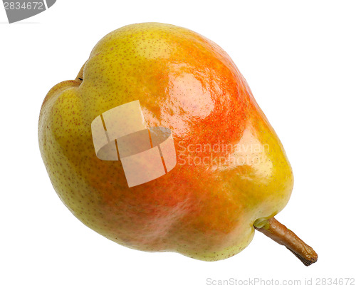 Image of Pear 