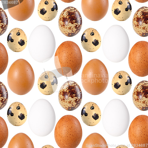 Image of Seamless pattern of birds eggs