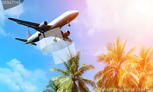 Image of 	Airplane above the clouds