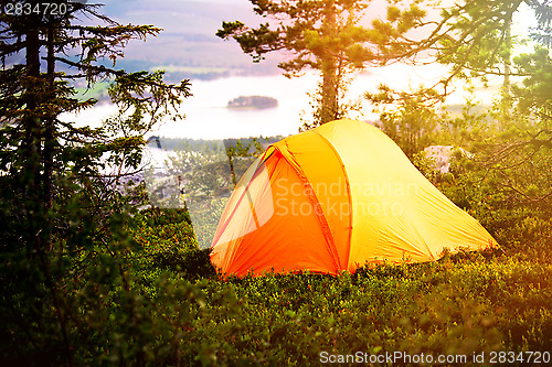 Image of Camping in the Forest 