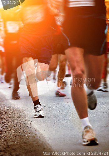 Image of Runners 