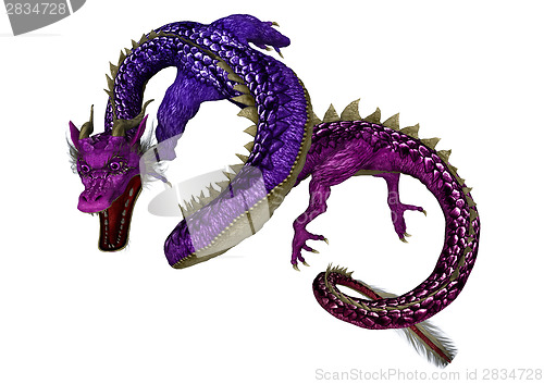 Image of Purple Dragon