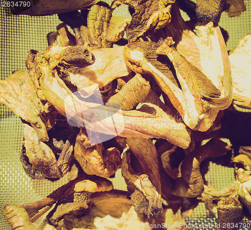 Image of Retro look Mushrooms picture