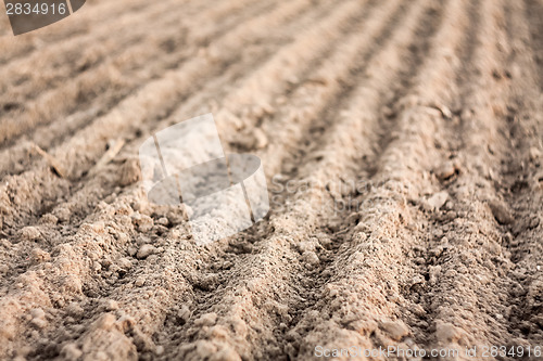 Image of Furrows In A Field After Plowing It