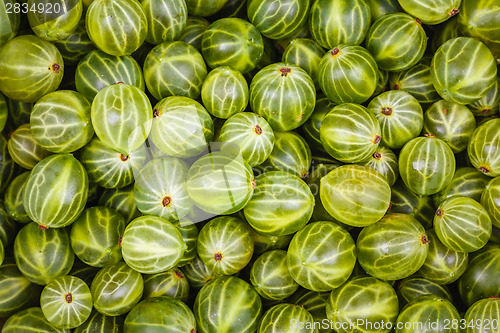 Image of Gooseberries Green Background