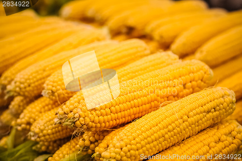 Image of Fresh Yellow Corn Pile