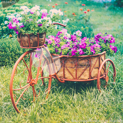 Image of Decorative Bicycle In Garden 