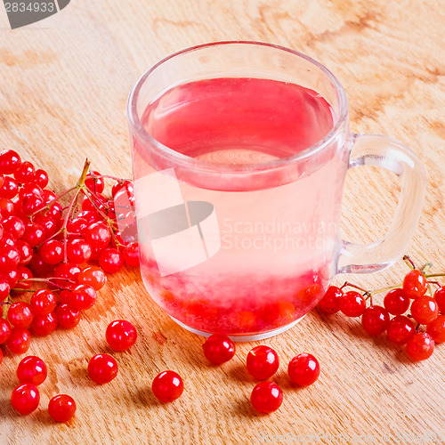 Image of Cup Of Drink Red Ripe Viburnum