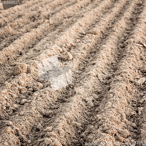 Image of Furrows In A Field After Plowing It