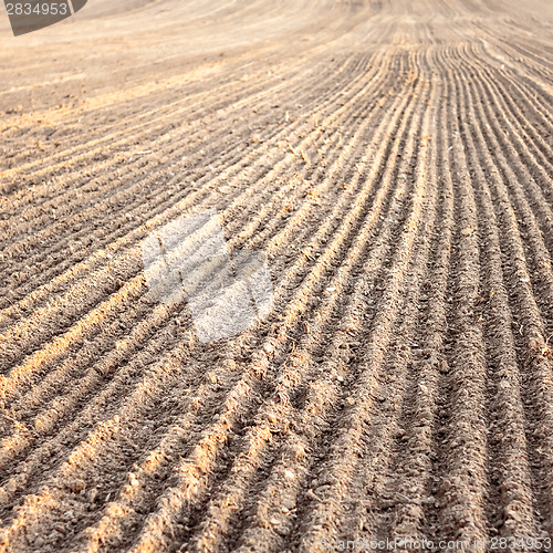Image of Furrows In A Field After Plowing It