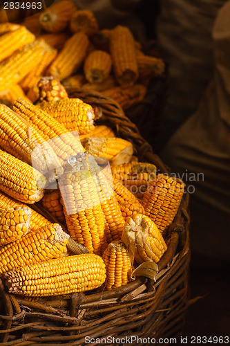 Image of Fresh Corn