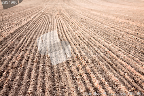 Image of Furrows In A Field After Plowing It