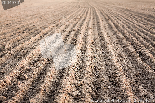 Image of Furrows In A Field After Plowing It