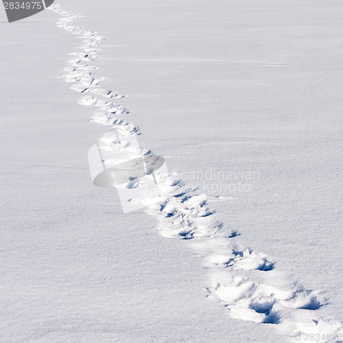 Image of Footsteps On The Snow