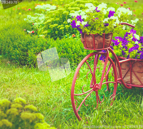 Image of Decorative Bicycle In Garden 