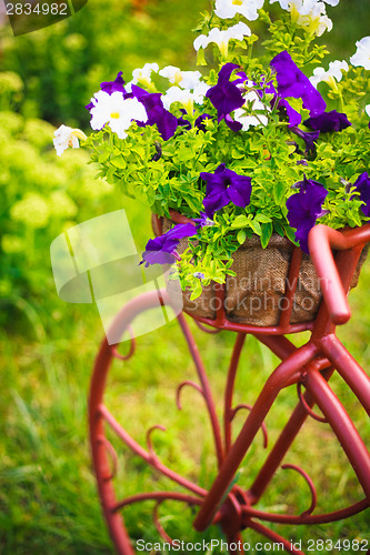 Image of Decorative Bicycle In Garden 