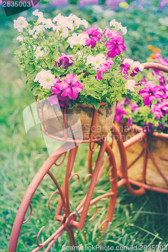 Image of Decorative Bicycle In Garden 