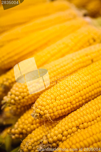 Image of Fresh Yellow Corn Pile