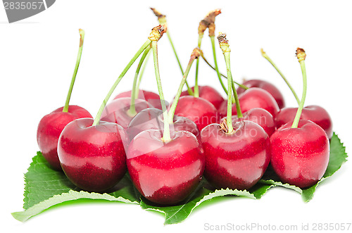 Image of Tasty ripe cherry berries juicy and sweet fruits