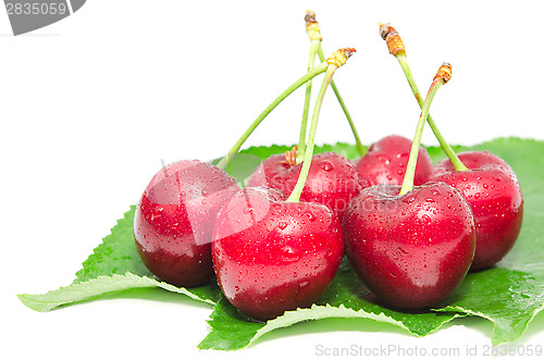 Image of Wet ripe cherry berry fruits with water droplets