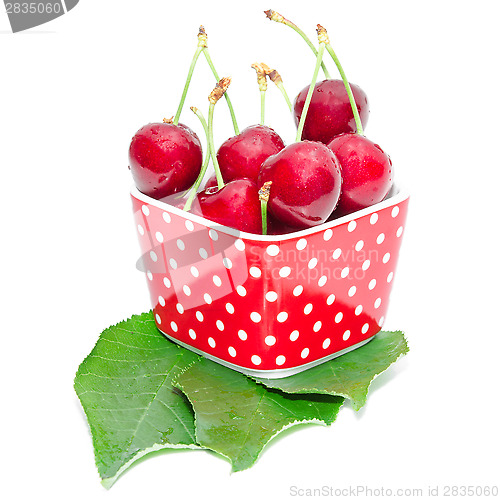Image of Summer dessert ripe cherry wet with drops berries