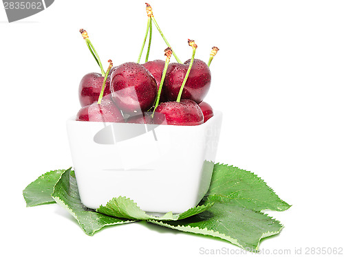 Image of Small square bowl filled with juicy sweet cherry
