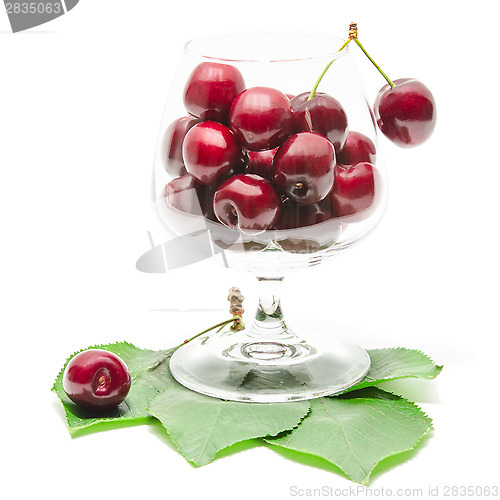 Image of Cherry berries fruits in clear wineglass on green fresh leaves