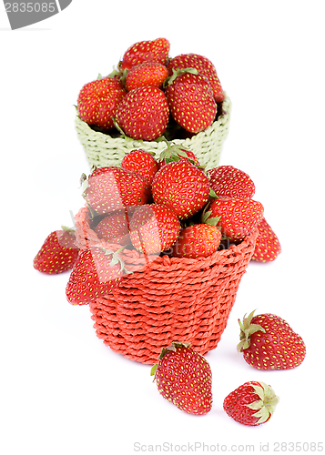 Image of Forest Strawberries