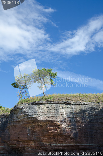 Image of Two trees at the edge of a cliff formation