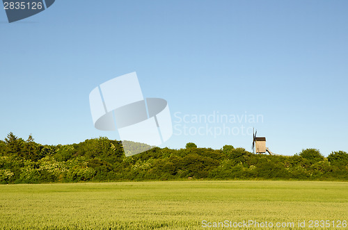 Image of Old wooden windmill by a green wheat corn field