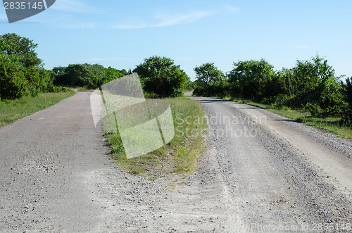 Image of Choose the right way of two different country roads