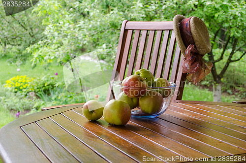 Image of Apples in glass dish on bower table in garden 