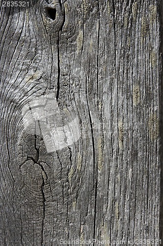 Image of texture of old wood