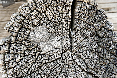 Image of texture of old wood 