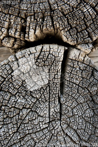 Image of texture of old wood 