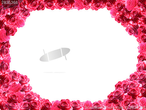 Image of frame from red roses