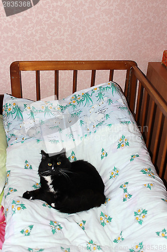 Image of cat lying prone on the child's bed