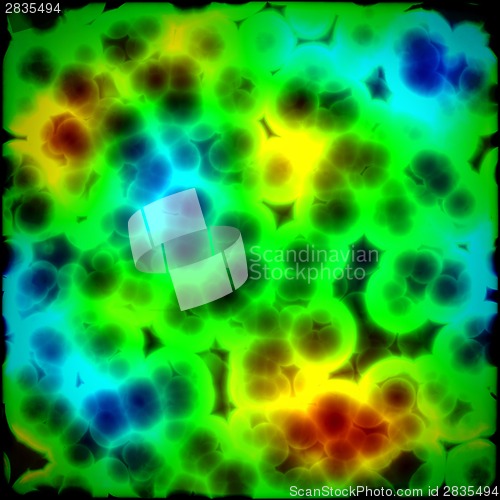 Image of Bacteria cells close up