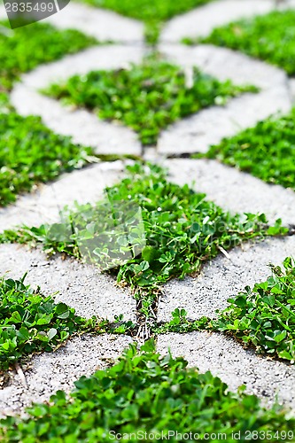 Image of stone block walk path in the park with green grass