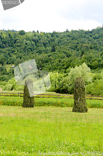 Image of two big mows of hay