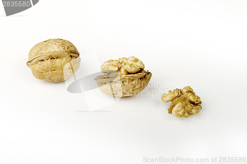 Image of Walnuts