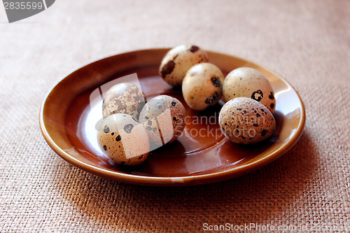 Image of some eggs of the quail